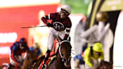 Horse racing-Magnitude beats Forever Young to win Dubai World Cup