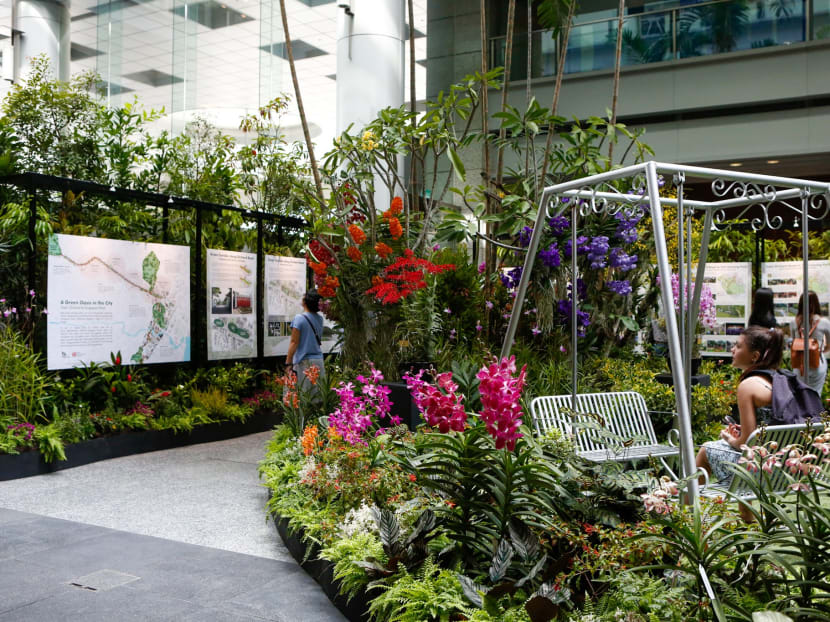 The plans were announced by the Urban Redevelopment Authority and the National Parks Board on Feb 13.