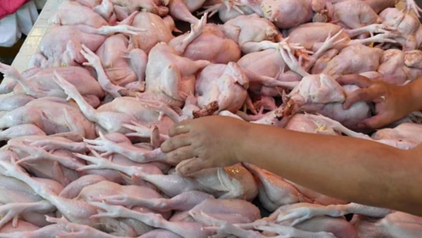 Subsidi kawal harga ayam, telur 'langkah proaktif' bantu rakyat M'sia