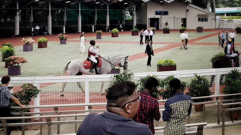 Catching up with the times: Turf club faces uphill task to draw younger crowd, non-horse racing fans