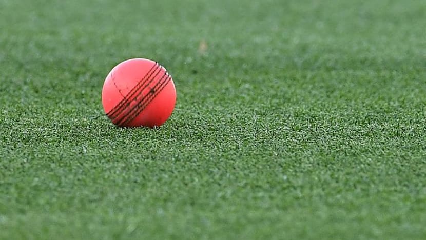 Pink balls to be trialled in day tests to maximise playing time