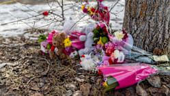 Related article image