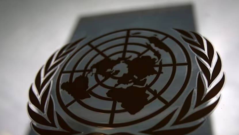 Singapore reaffirms support for two-state solution at UN conference on Palestine