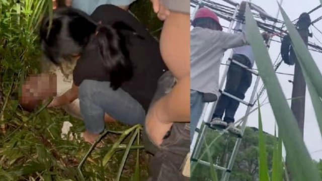 中国男子疑路过电线杆时 遭电击身亡