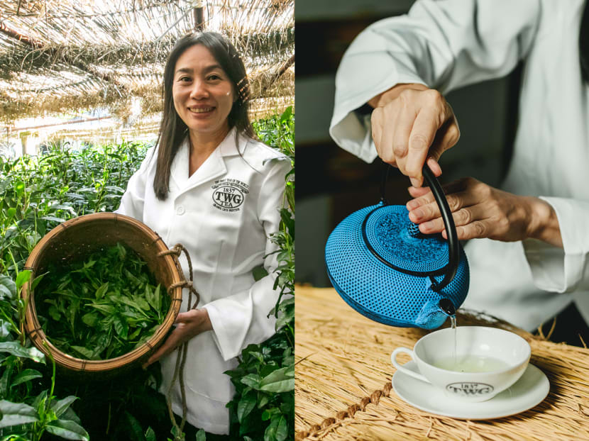 What is Hon-Gyokuro, one of the rarest types of Japanese green tea in the world?