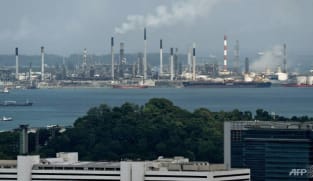No 'free pass' on carbon emissions for companies receiving transitional allowances: NCCS