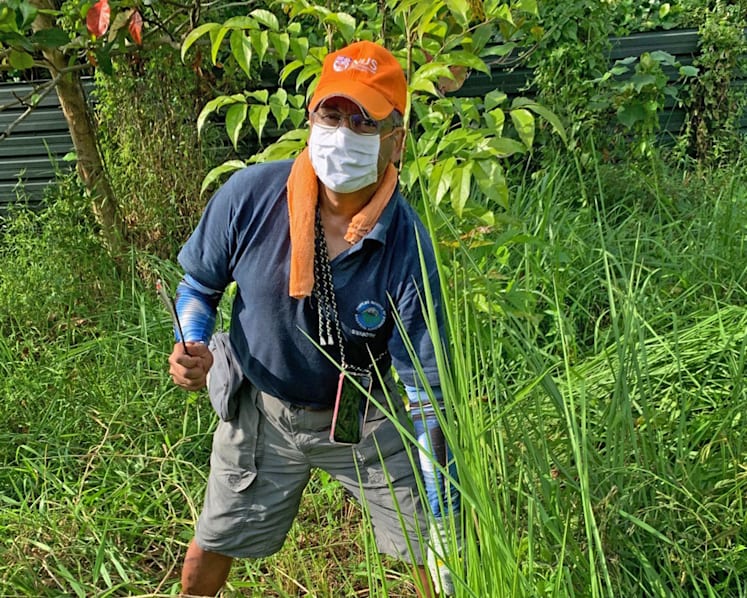 Budget 2021: His solo effort to clean up mangroves has grown into 100 volunteers reforesting Kranji Coastal Nature Park