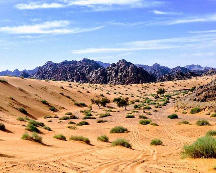 Sun, sea and Saudi: How countries around the world are courting Muslim tourists