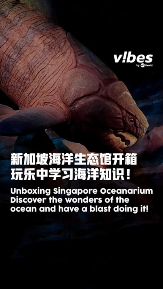 20250718_LS_SIngapore-Oceanarium_vod_01