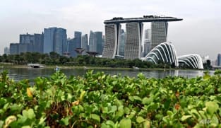 Commentary: The merits of Singapore’s new carbon trading marketplace