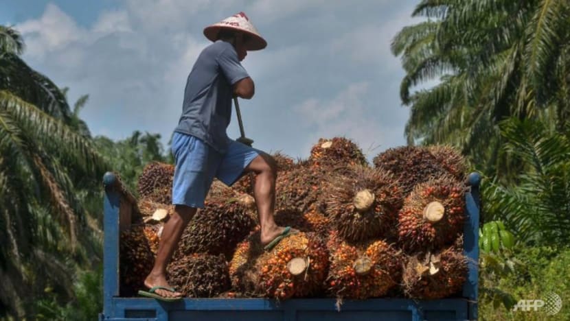 Why Indonesia’s ban on palm oil exports matters, and what consumers can expect Why Indonesia’s ban on palm oil exports matters, and what consumers can expect