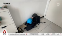 Daily life continues for Singaporeans in Mideast; reassured by regular updates from authorities