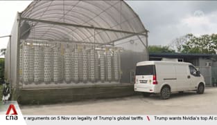 Singapore farmers exploring use of shared logistics to tackle rising costs