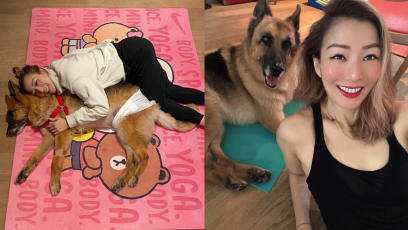 “He Is No Longer Suffering”: Sammi Cheng Bids Farewell To 15-Year-Old Pet Dog