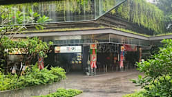 Related article image