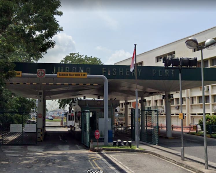 88 new locally transmitted Covid-19 cases in Singapore, including 42 linked to Jurong Fishery Port cluster