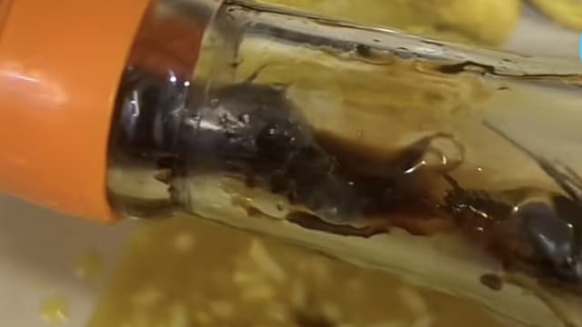 酱油里藏三只大蟑螂 马国女快用完才发现