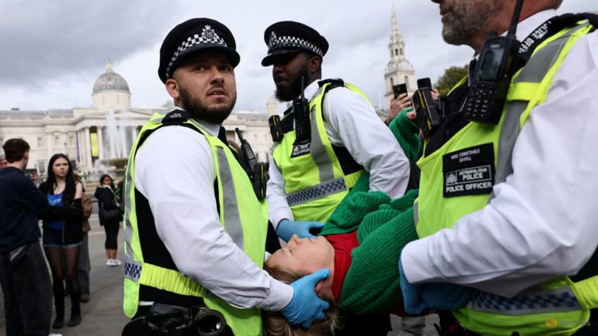 Hundreds arrested at London protest against ban on pro-Palestinian group