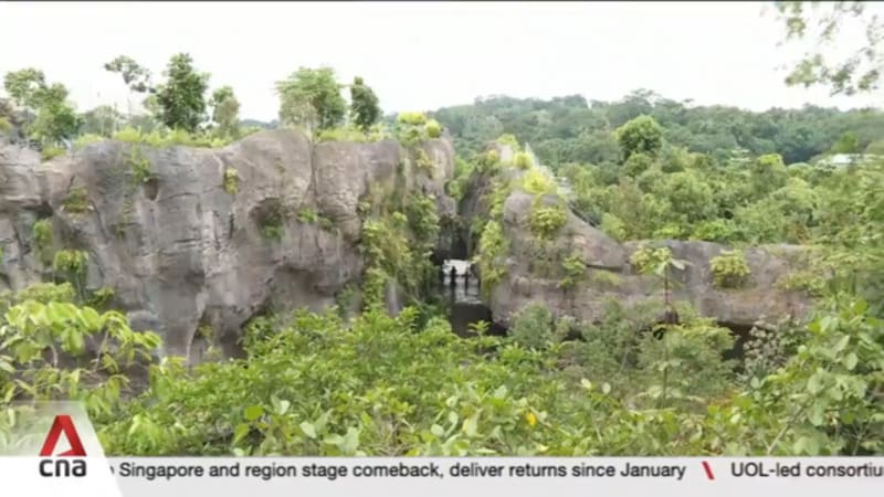 Rainforest Wild Asia among 16 to clinch award for good landscape design 