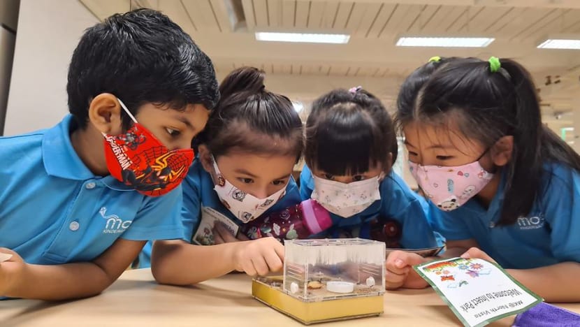 About 250,000 children to receive S$200 Child Development Account top-up About 250,000 children to receive S$200 Child Development Account top-up