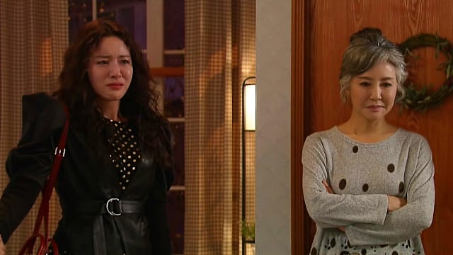 火鸟2020（第13集）：智恩遭逢人生巨变