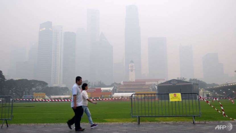 As haze season approaches, businesses prepare for surge in demand of masks, air purifiers As haze season approaches, businesses prepare for surge in demand of masks, air purifiers