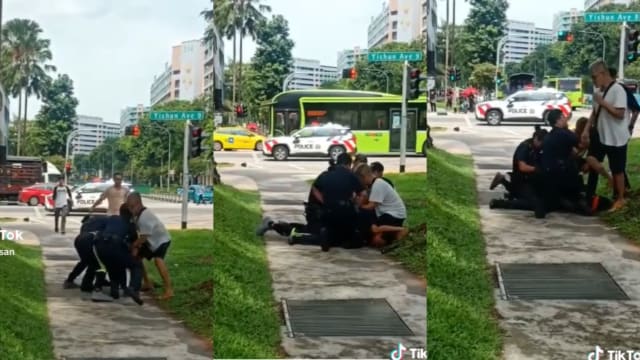 男子对施援警员动粗 三路人助警将他制伏