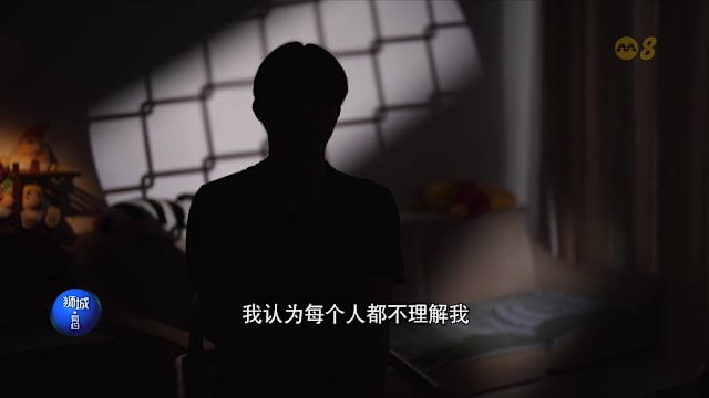 狮城有约 | 隐蔽青年如何走出困境？新法案打造更安全网络环境