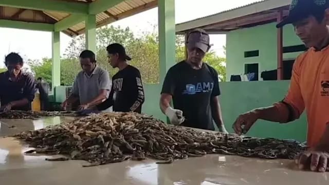 印尼海鲜产品被检出放射性核素 美国收紧进口规定