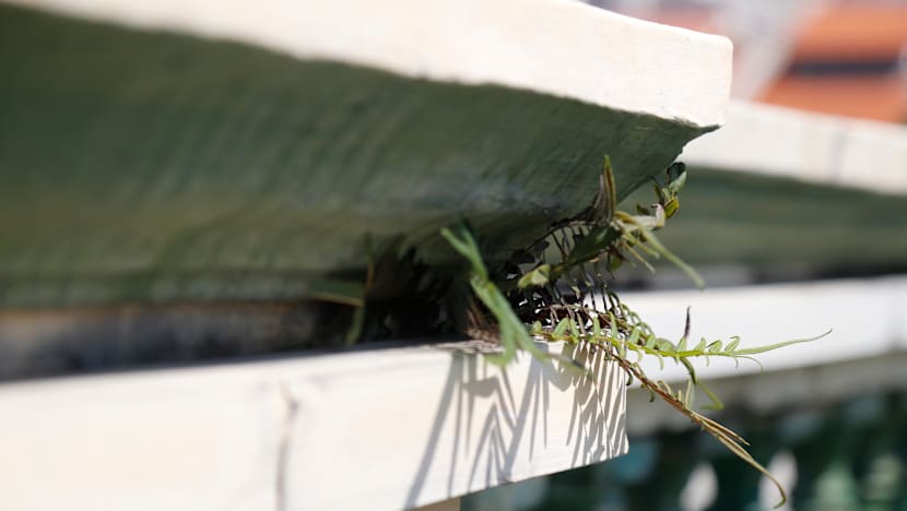 NHB doubles funding for upkeep of monuments