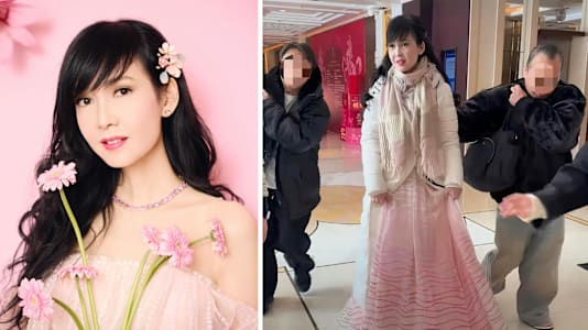 Vivian chow dress too young pink