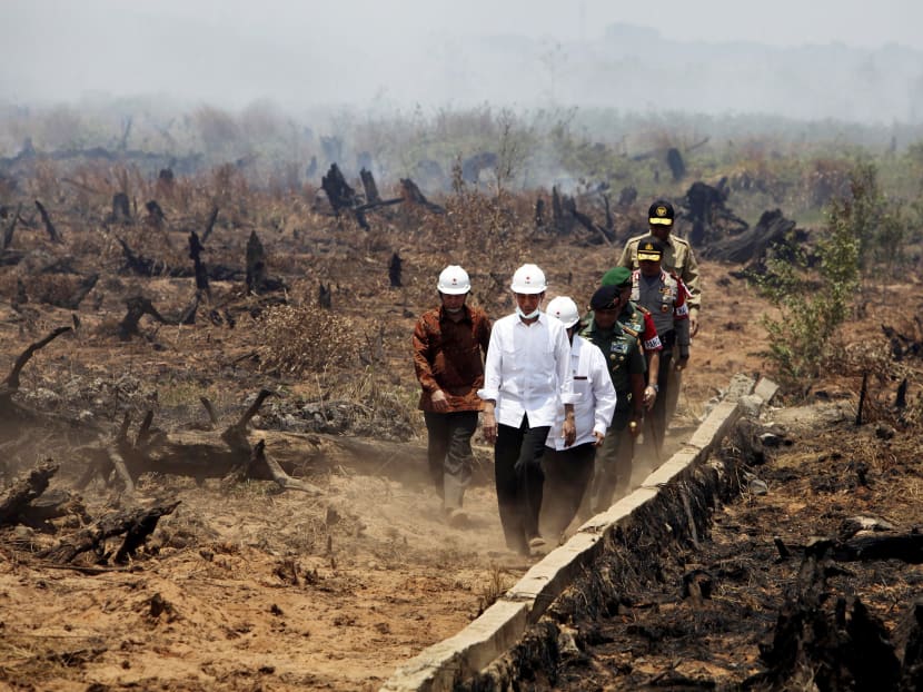 Mr Widodo (front) inspects the aftermath of a fire in Banjarbaru, South Kalimantan province. Photo: Reuters Mr Widodo (front) inspects the aftermath of a fire in Banjarbaru, South Kalimantan province. Photo: Reuters