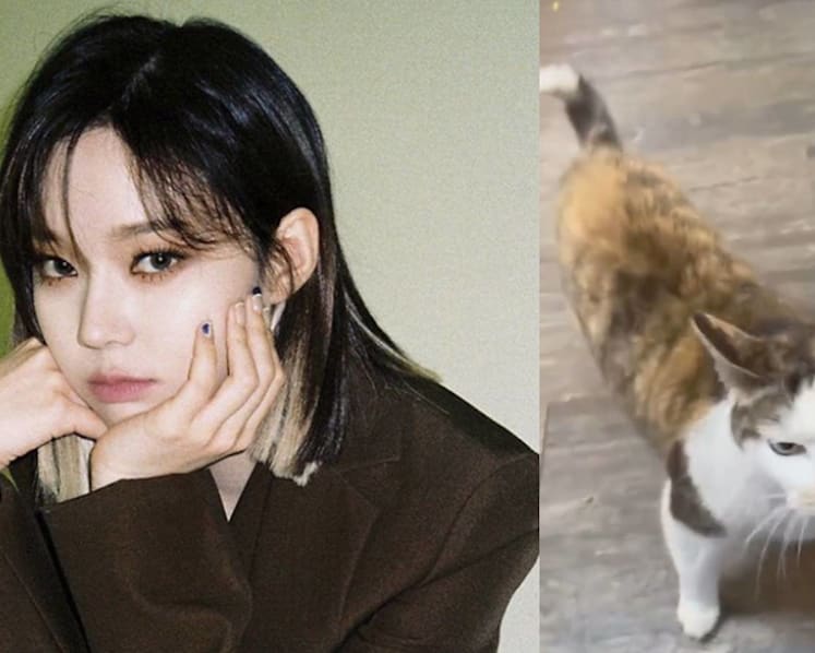 Netizens Accuse Korean Girl Group Member Of Animal Abuse 'Cos Of This Five-Second Video