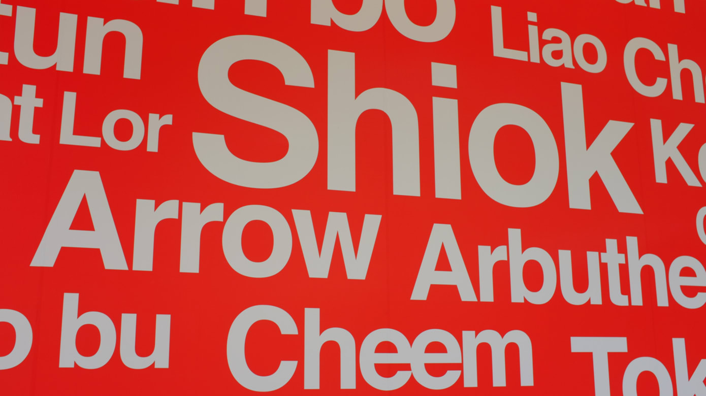 调查：逾九成国人会用新加坡式英语这个词汇最多人用- 8world