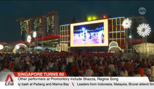 NDP 2025: Nearly 7,000 people join SG60 celebrations at Promontory 