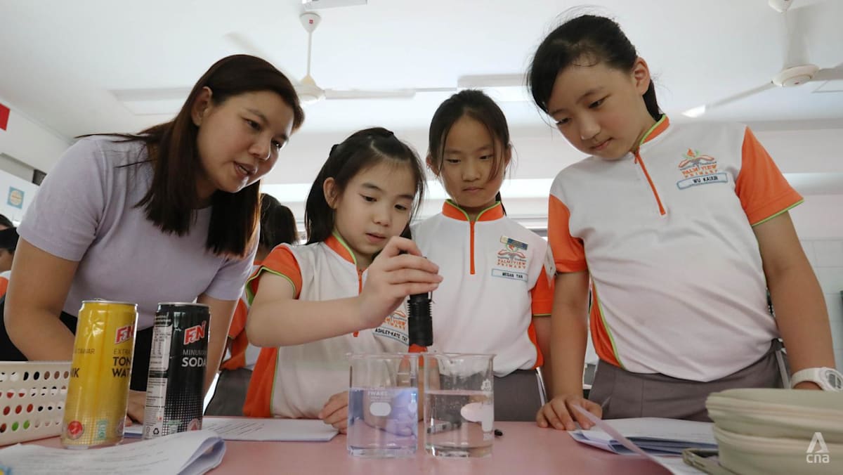 15 schools to host advanced modules as Singapore discontinues Gifted Education Programme