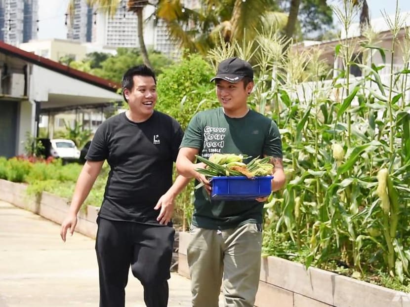 Why this Michelin star chef spends so much time on Singapore farms