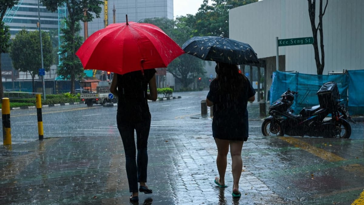 Singapore saw wettest March, warmest June and November on record in 2025