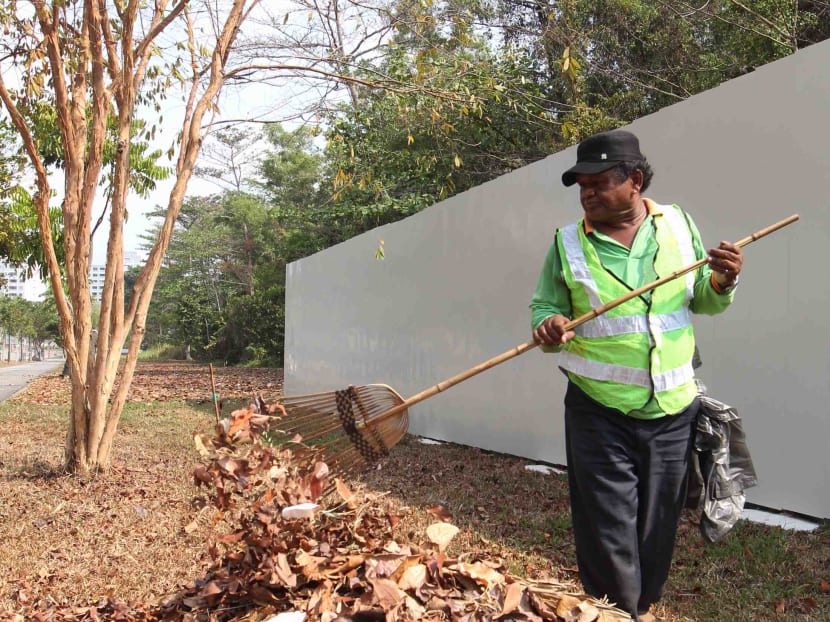 NEA steps up efforts to clear leaf litter to control mosquito population