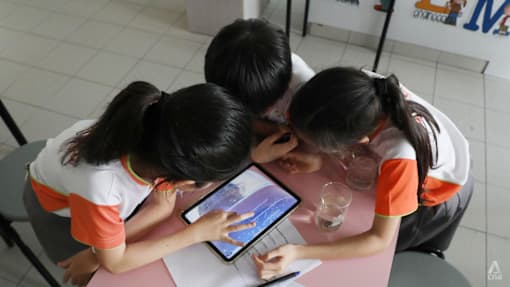 AI use in Singapore schools kept age-appropriate, with focus on learning, not shortcuts: Desmond Lee 
