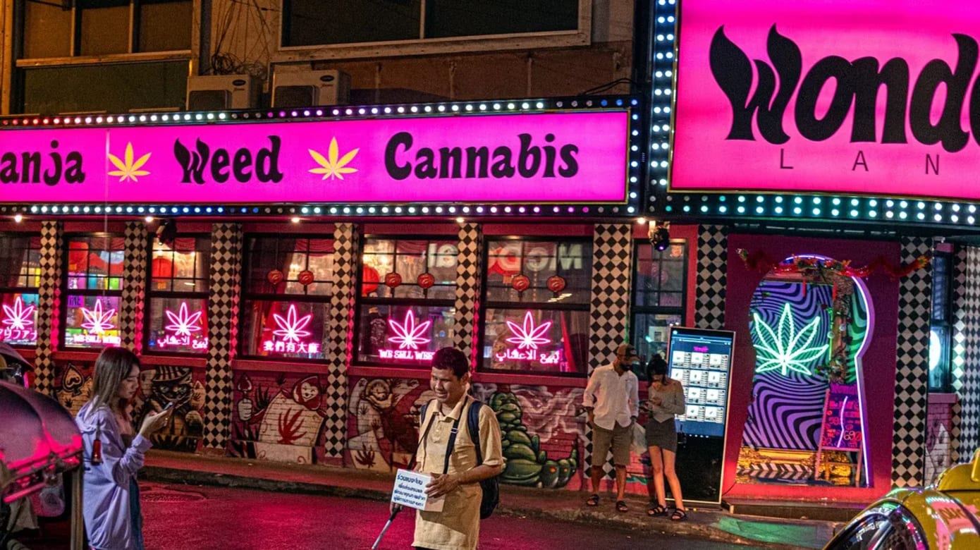 泰国严查大麻商店 普吉岛数百家商店因准证问题被查