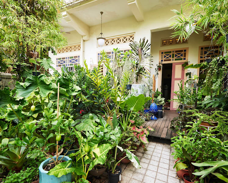 Can’t Keep Your House Plants Alive? Then You'll Need These Gardening Tips For Beginners