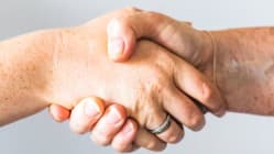 Related article image