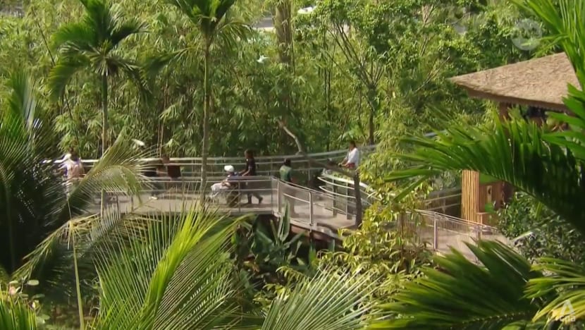 Fun for all: How some tourist attractions have made themselves more disability friendly Fun for all: How some tourist attractions have made themselves more disability friendly
