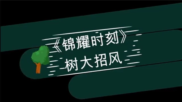【锦耀时刻】第四集：树大招风