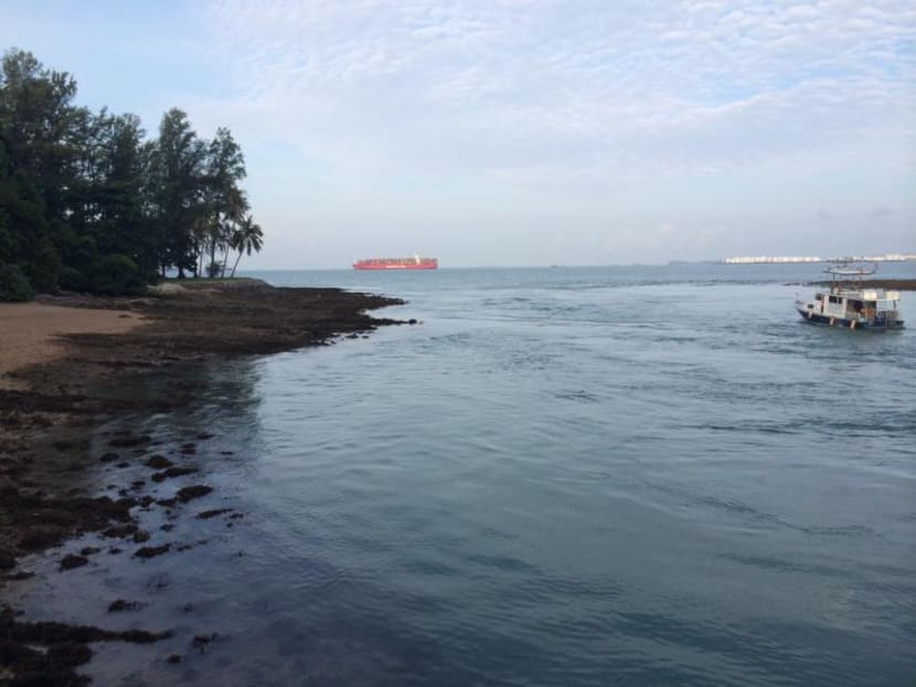 A shore at the Sisters' Islands Marine Park. TODAY file photo