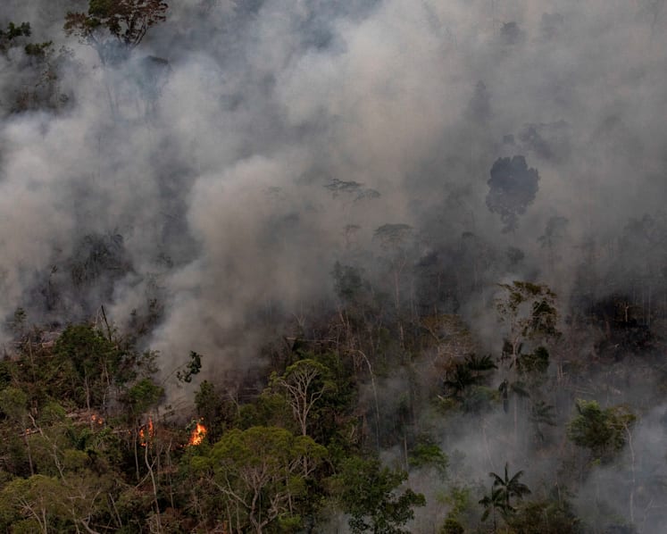 Amazon fires are destructive, but they aren’t depleting Earth’s oxygen supply