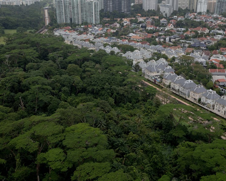 HDB to extend public consultation on Dover Forest by 4 weeks: Desmond Lee