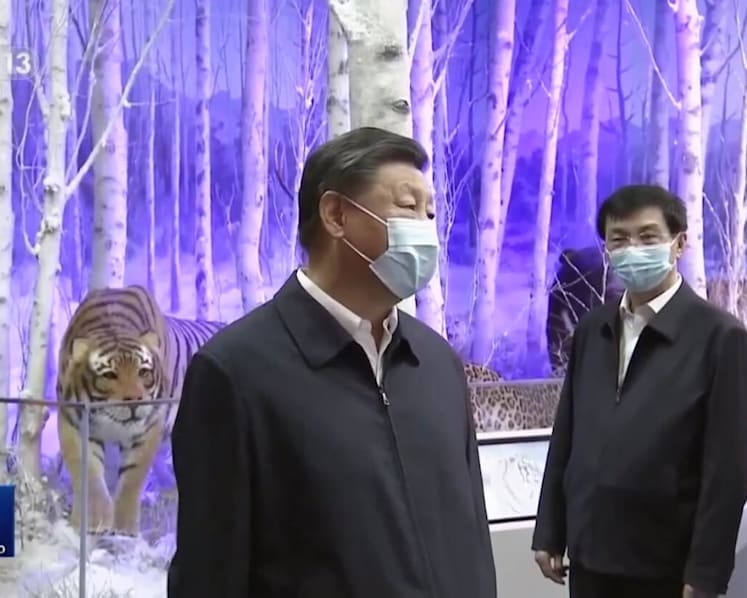 China president Xi Jinping reappears on state TV amid rumours over absence