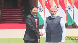 Related article image